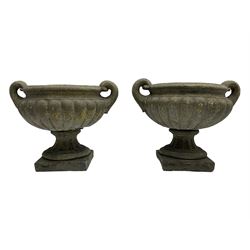 Pair of cast stone garden squat urns, shallow bowl shape with scrolled handles, gadroon moulded underbelly, circular fluted foot on square base 
