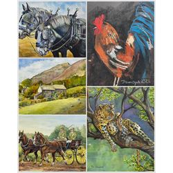 Ron Wagstaff (Northern British 20th Century): 'Heavy Lunch - Leopard', 'Cross County at Epworth', Draft Horses and The Farm, collection of four watercolours signed, variously titled verso; Dawn Ogel (British 20th Century): The Cockerel, pastel signed max 38cm x 35cm (5)