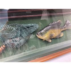 Four framed sporting memorabilia displays, the largest example containing 1930s cricket memorabilia, together with two fishing displays and a football display, each within wooden glazed frames, largest H105cm