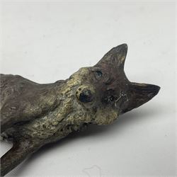 Cold painted bronze model of a seated fox, together with similar standing terrier, fox H5cm