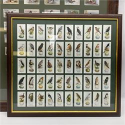 Four mounted and framed sets of cigarette cards comprising Players Game Birds & Wild Fowl; Ogdens British Birds & Their Eggs; Wills Dogs; and reproduction Players Peter Scott's Wildfowl; various frames (4)