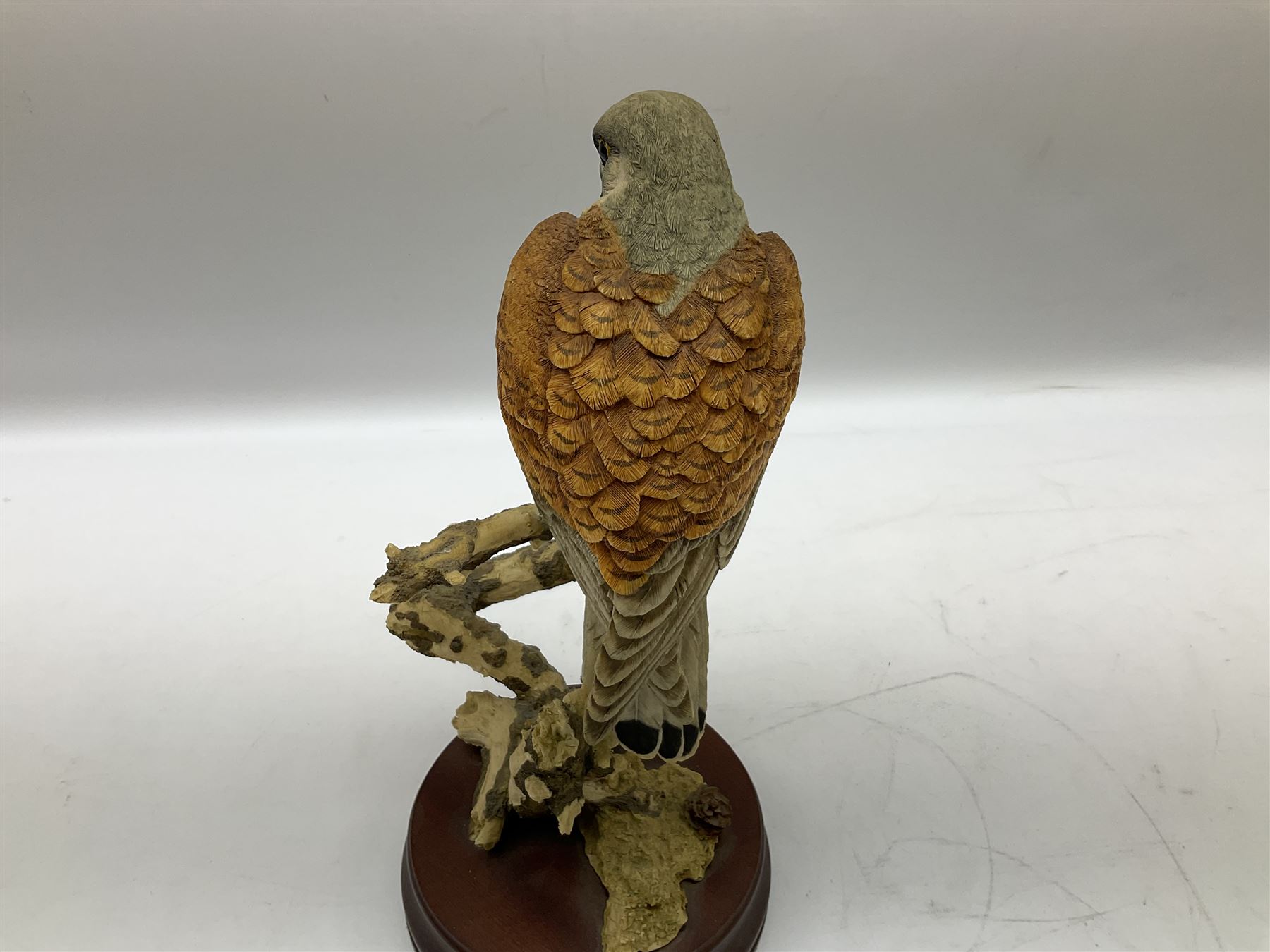 Country Artists figure of a peregrine falcon ' Lord of the Skies ' by David Ivey, limited edition, H44cm, together with two Sherratt and Simpson figures, both of peregrine falcons perched on branches. 