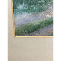 Charles Henry Clifford Baldwyn (British 1859-1943): 'Heralds of Spring', watercolour signed and dated 1912, titled verso 45cm x 30cm (mounted) 
Notes: Baldwyn was a Worcester artist, starting work at the Royal Worcester porcelain factory at the age of 15. He was most famous for his beautiful paintings of swans in flight.