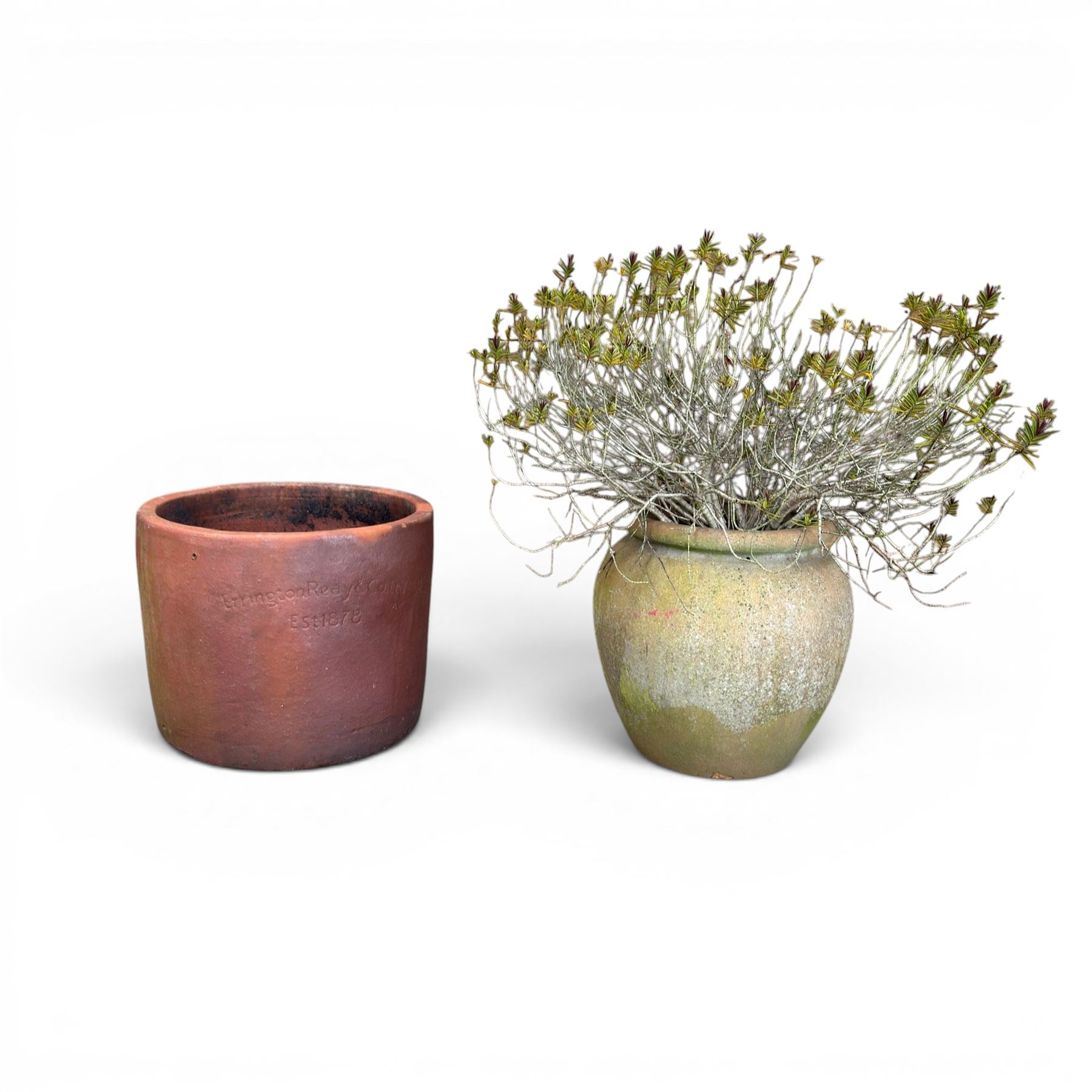 Large terracotta circular planter, oval form with ribbed top, planted; and an Errington Reay & Sons terracotta planter