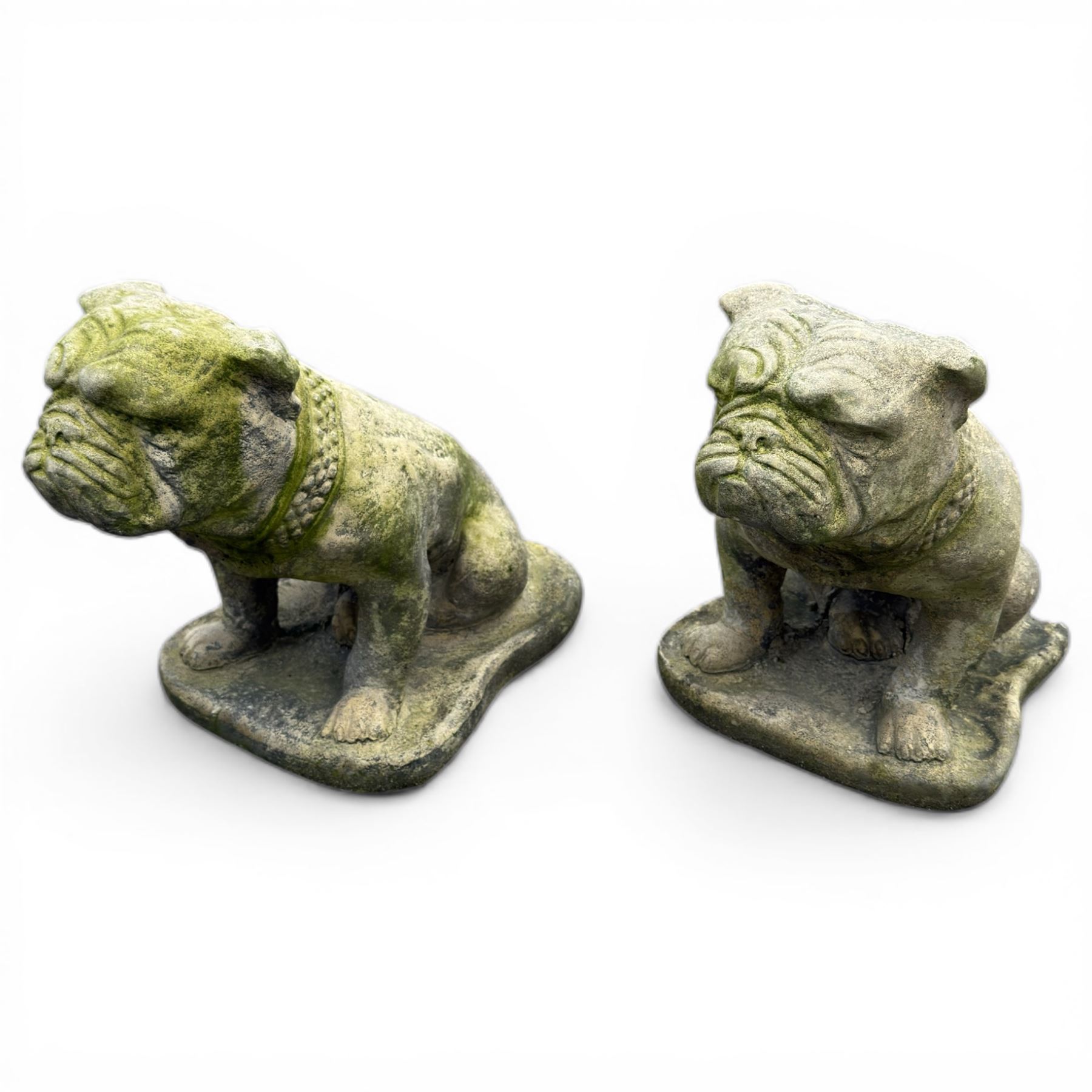 Pair of cast stone garden British bulldogs, on shaped plinths