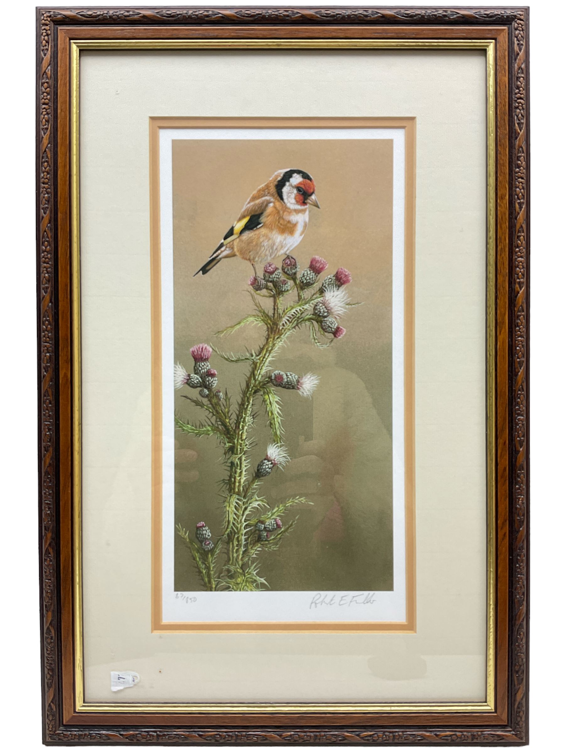 Robert E Fuller (British 1972-): Goldfinch on a Thistle, limited edition colour print No. 87/850 signed in pencil 33cm x 16.5cm