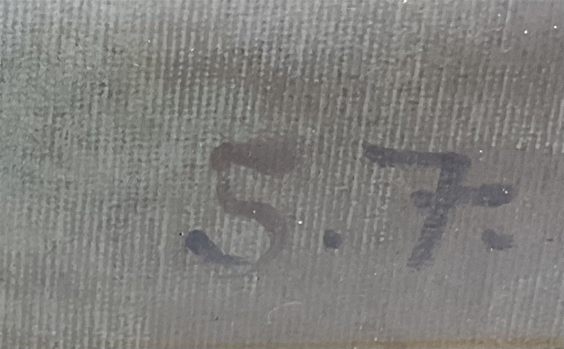 After Stanhope Alexander Forbes (Newlyn School 1857-1947): Figures looking over the Harbour, oil on canvas board bears initials 69cm x 51cm