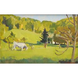 Caroline Romer (British 1955-): Horned Bull in Pasture, oil on canvas signed 21cm x 32cm