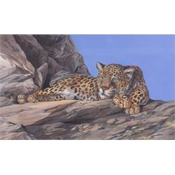 Elaine C Geall (British 1976-): 'African Leopard' and 'Patient Observer - Tawny Owl', acrylic on paper signed, titled verso 29cm x 48cm and 53cm x 35cm (2)