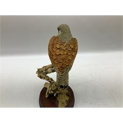 Country Artists figure of a peregrine falcon ' Lord of the Skies ' by David Ivey, limited edition, H44cm, together with two Sherratt and Simpson figures, both of peregrine falcons perched on branches. 