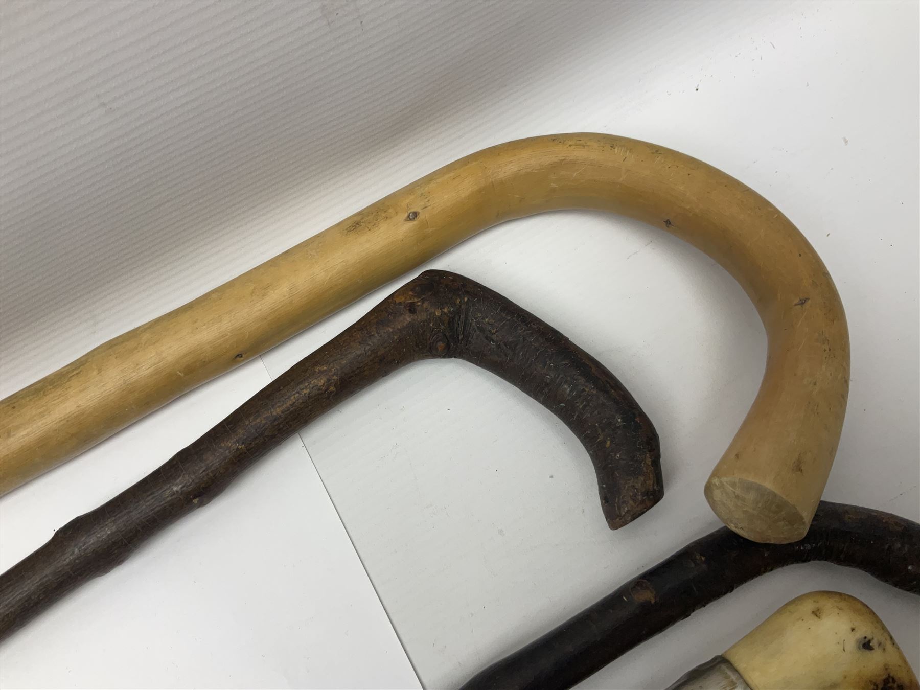 Collection of walking sticks including silver collared example and horn handles, largest L92cm 