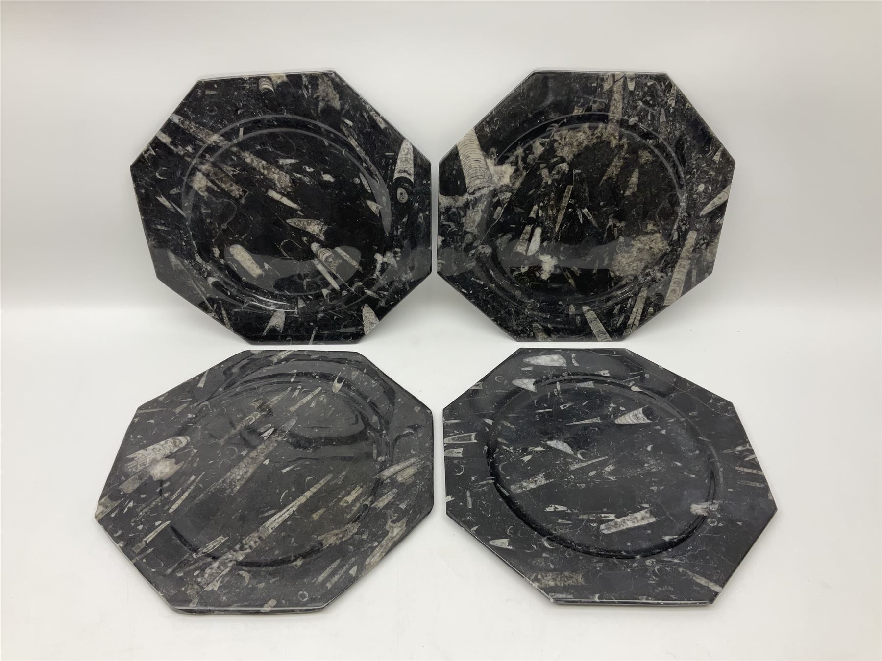 Four octagonal plates, each with Orthoceras and Goniatite inclusions, age: Devonian period, location: Morocco, D30cm