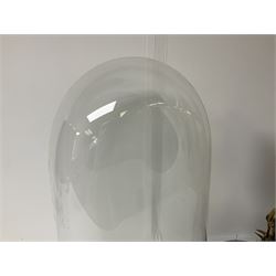 Taxidermy: Victorian cased Peregrine Falcon (Falco peregrinus), full female mount  stood atop a tree stump in a naturalistic ground, enclosed beneath a period oval glass dome with ebonised base, raised upon four bun feet, H54cm D20cm W34cm