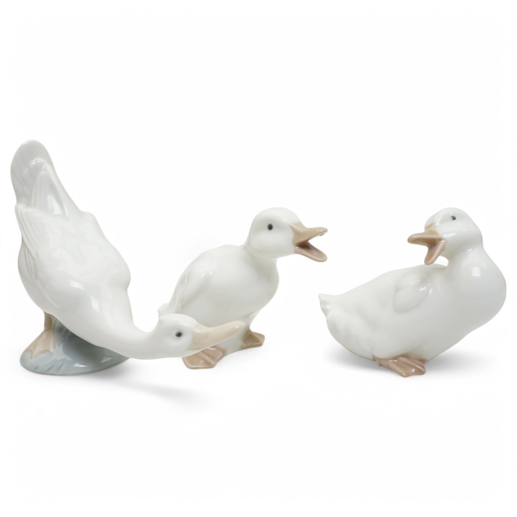 A group of eight Nao figures, together with one Lladro Polar Bear figure, each with printed mark beneath (9)