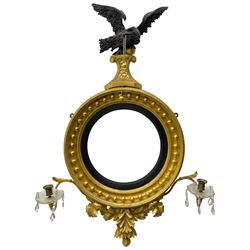 Regency gilt framed convex wall mirror, the ebonised eagle pediment with gilt ball and chain in beak and sphere clutched in talons surmounted upon a scrolled plinth, the circular plate within an ebonised reeded slip, the cavetto frame applied with gilt spheres, twin scrolling sconces extend with cut glass drip trays, the ornate terminal decorated with acanthus leaves