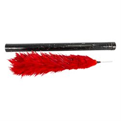 Coldstream guards officers red plume in tin, plume L45cm, tin L54cm