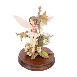 Nine Border Fine Arts Fairies figures, to include Jasmine fairy B0415, The White Bindweed Fairy CF26, Holly Fairy B0417,Wild Cherry Fairy CF25, Strawberry Fairy B0115, The Wind-Flower Fairy B0847, and Narcissus Flower Fairy CF24