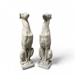 Pair of small cast stone  seated garden greyhounds, on square plinth bases