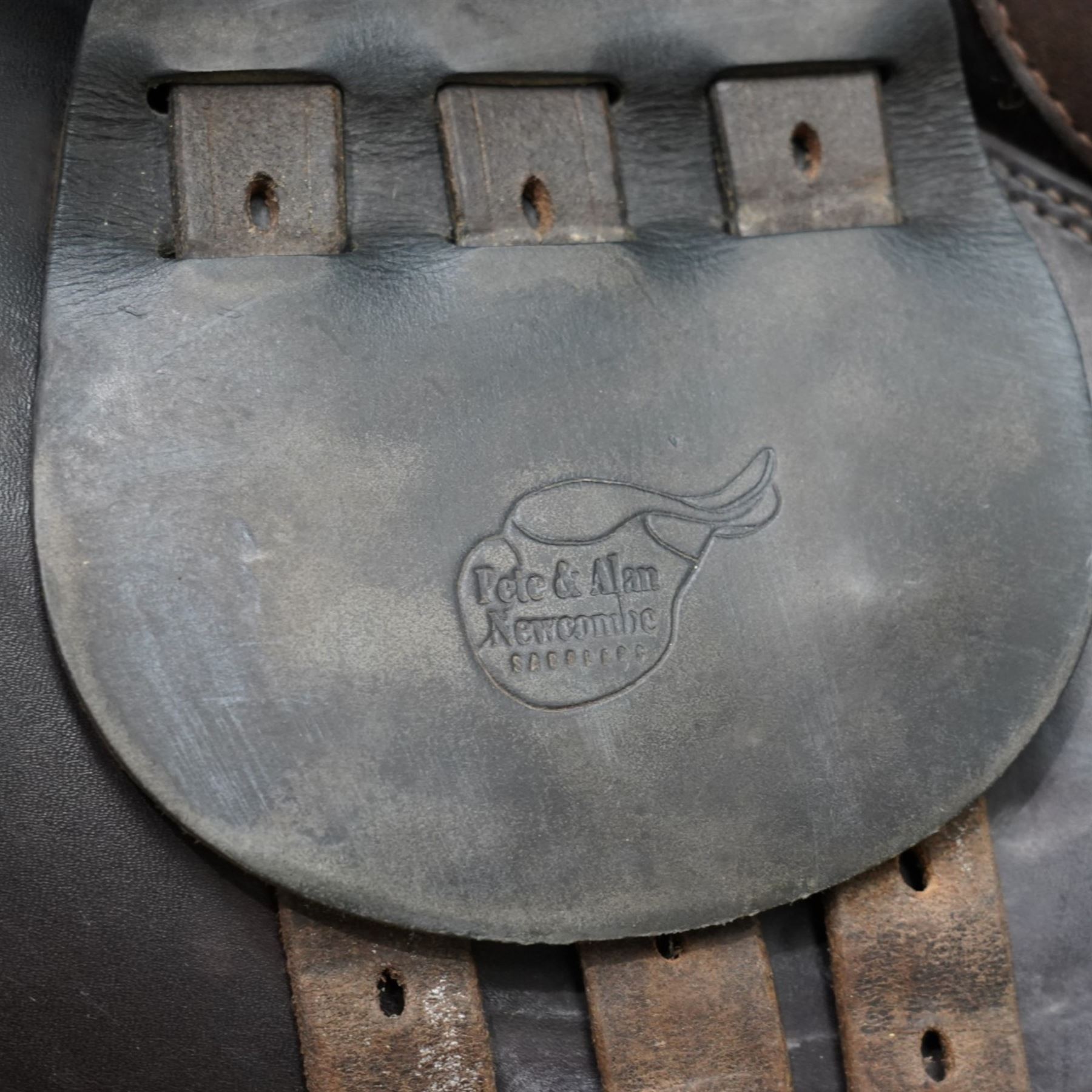 Newcome Saddle, together with one other 
