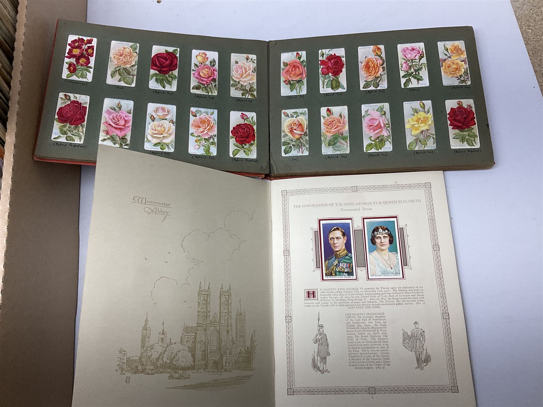 Quantity of cigarette and trade cards, housed in albums and loose, by W.D. & H.O. Wills, John Player & Sons etc, including cycling, garden hints, Britain's railways, dogs etc and various empty vintage cigarette card albums, in two boxes