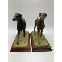 Border Fine Arts Doberman Pinscher, black with brown markings, limited edition 279 of 500 modelled by Elizabeth Waugh, with plinth H20.5cm, together with Border Fine Arts Doberman Pinscher, dark brown with light brown markings, limited edition 297 of 500 modelled by Elizabeth Waugh, with plinth H20.5cm