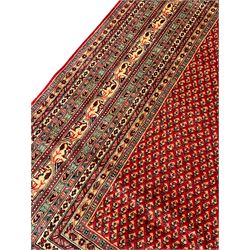 Persian Arak crimson ground carpet, the field decorated profusely with small repeating Boteh motifs, enclosed by multiple border bands decorated with repeating geometric and hook motifs