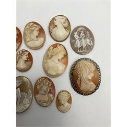 Fifteen shell cameos, including two mounted in silver