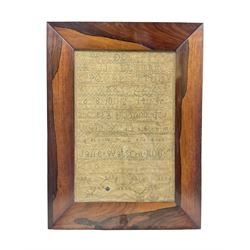 Early Victorian sampler by Jane Watson, 1848, worked in blues, greens and beige with alternating panels of the alphabet and numbers, housed in glazed mahogany frame, H46cm W34cn