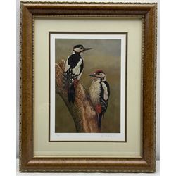 Robert E Fuller (British 1972-): Male and Female Great Spotted Woodpecker, limited edition colour print signed and numbered 77/850 in pencil 30cm x 22cm
