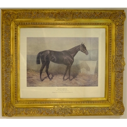  'Bayarda - Winner of the Royal Hunt Cup 1885 - Champion of the Doncaster Cup and Goodwood Stakes 1888', colour print 49cm x 60cm  
