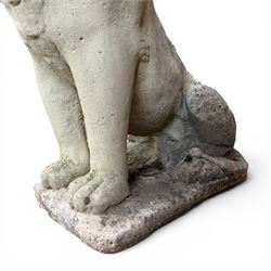 Pair of cast stone garden lions, seated on rectangular plinths