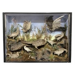 Taxidermy: Late Victorian Diorama of Pheasants and a Sparrowhawk, depicting Ring-necked Pheasants (Phasianus colchicus), a female with her chicks, a full mount adult female Sparrowhawk (Accipiter nisus) above in flying position, all mounted in a naturalistic setting of mosses, branches and tall grasses, on faux rock base, set against a blue sky painted backdrop, enclosed within a large ebonised three-glass display case, H79.5cm, W107cm