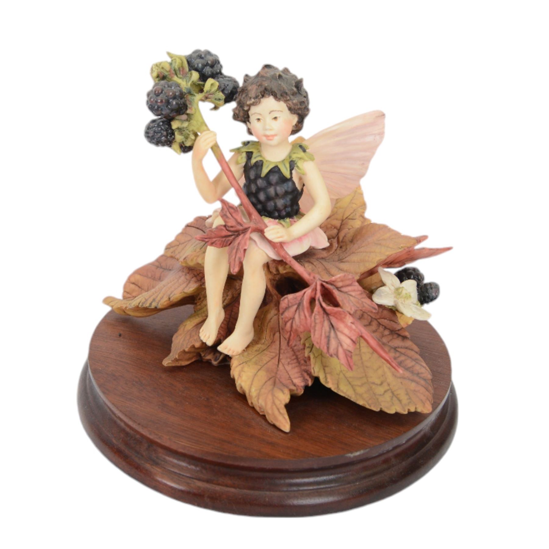 Nine Border Fine Arts Fairies figures, to include Jasmine fairy B0415, The White Bindweed Fairy CF26, Holly Fairy B0417,Wild Cherry Fairy CF25, Strawberry Fairy B0115, The Wind-Flower Fairy B0847, and Narcissus Flower Fairy CF24
