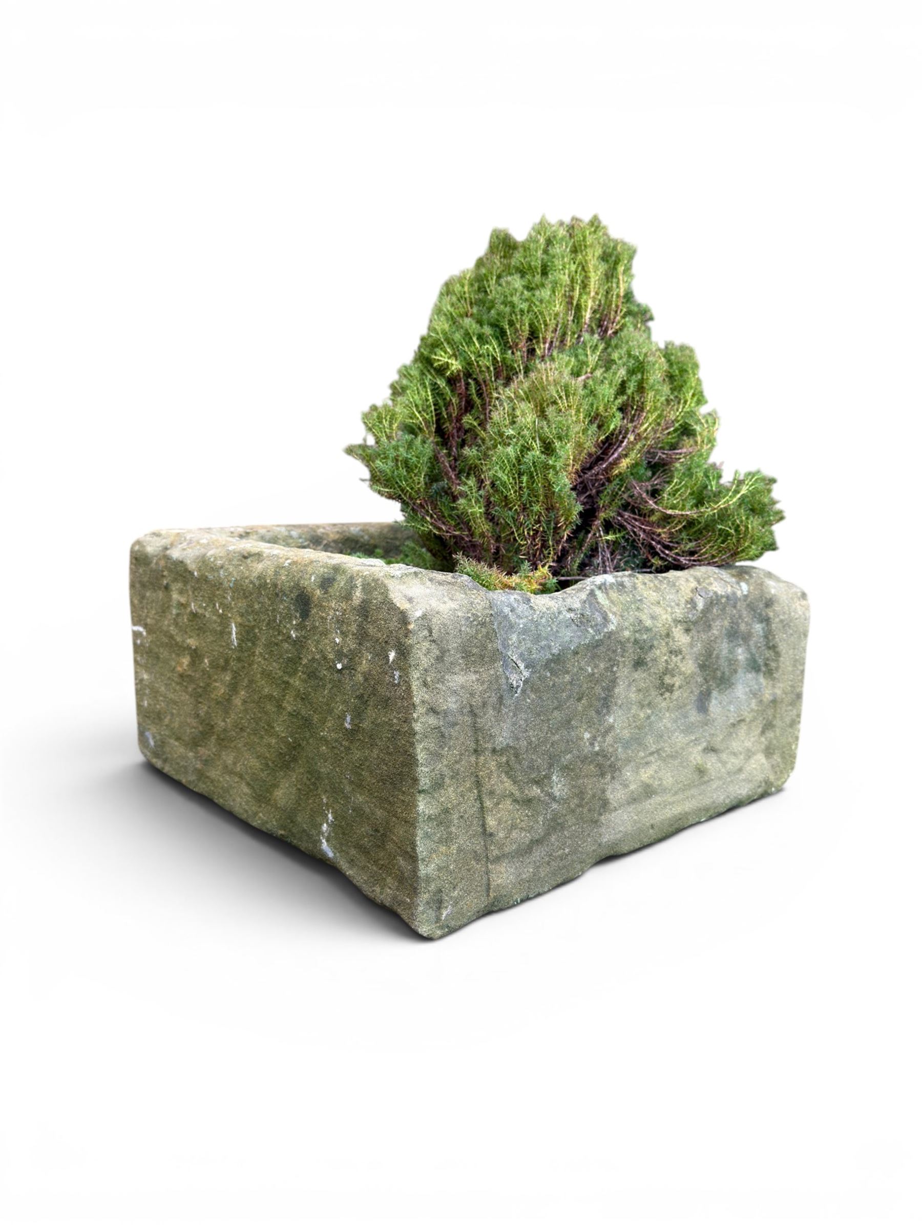 19th century hewn stone planter of square form, planted 