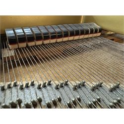 Yamaha - Baby Grand (5' 3