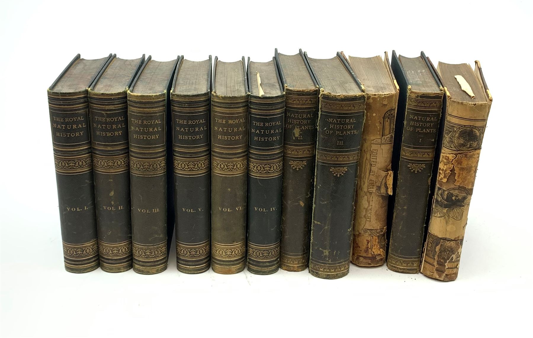 Lydekker Richard (Ed.): The Royal Natural History. 1893-6. Six volumes. Coloured plates and engravings; together with Oliver F.W.: The Natural History of Plants. 1894/5. Three volumes. Colour plates and woodcuts. Both bound in green cloth with gilt leather spines; and two volumes of Cassell's Book of Birds by Thomas Rymer Jones (11)