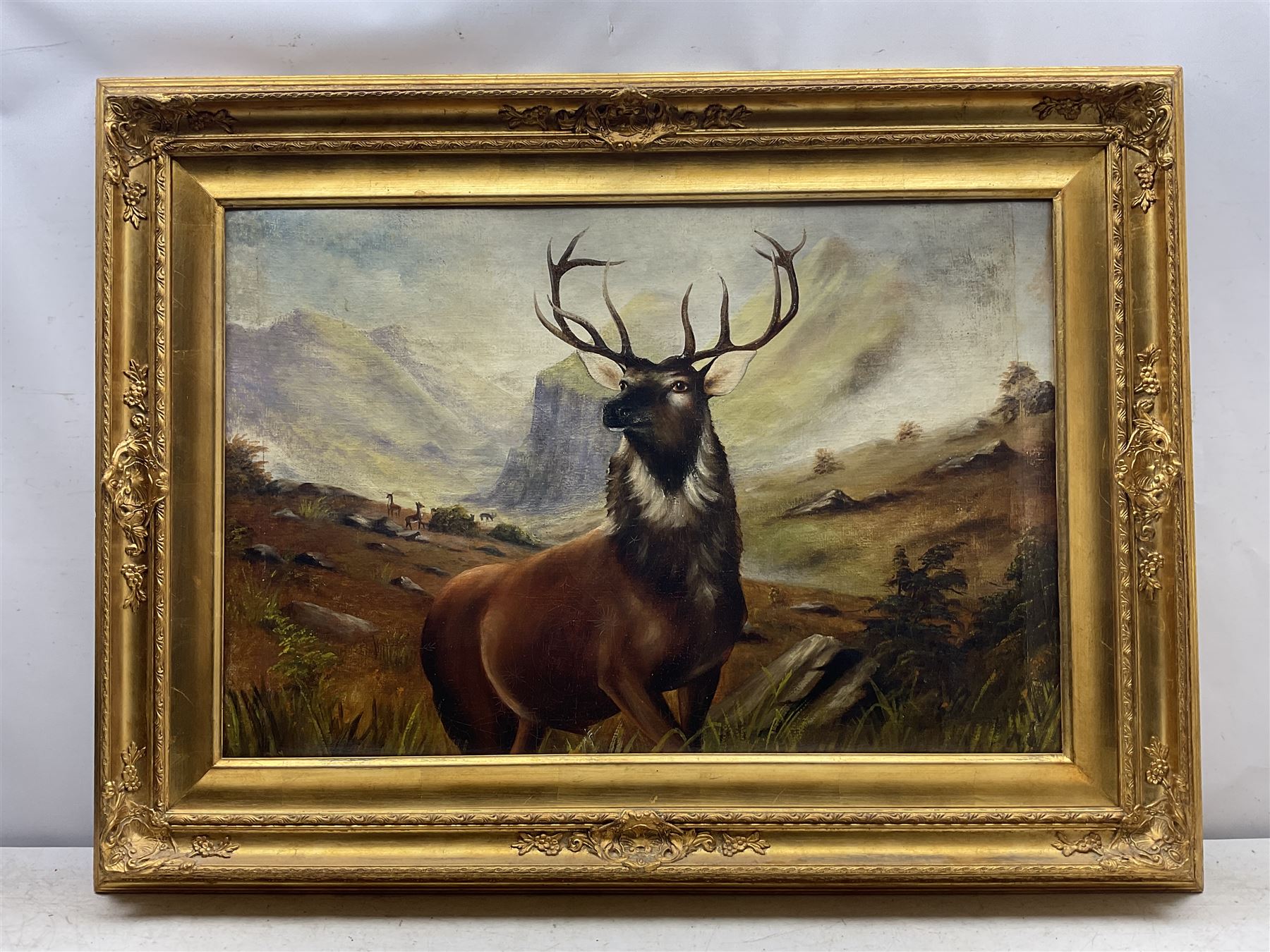 Scottish School (20th century): Monarch of the Glen, oil on canvas indistinctly signed J Doy in impressive gilt frame 59cm x 88cm