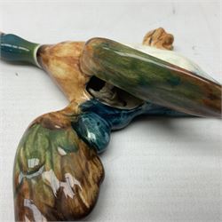 Set of five Beswick graduated wall mounting figures of flying ducks, models from 596/0 to 596/4, largest L29cm