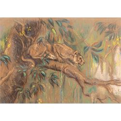 Arthur Wardle (British 1864-1949): Lioness, pastel, signed with initals 20.5cm x 28.5cm