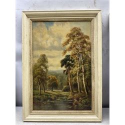 Sidney Yates Johnson (British fl.1890-1926): 'Lynmouth - Devon' Landscapes, pair oils on canvas signed with monogram, titled verso 45cm x 26cm (2)