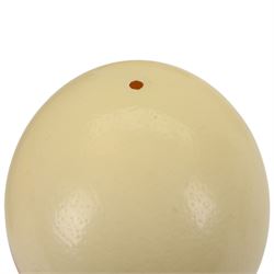 Six blown Ostrich (Struthio) eggs