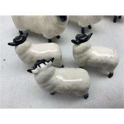 Seven Beswick figures of sheep comprising three ewes and four lambs, together with a figure of a sheepdog (8)