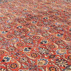 North West Persian carpet, the red field decorated with an all over repeating design of palmettes, rosettes and curling serrated leaves in indigo, ivory and ochre tones, enclosed by an indigo scrolling floral border and ivory flowerhead guard bands
