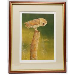 Robert E Fuller (British 1972-): Owl on a Tree Stump, limited edition colour print signed and numbered 9/850 in pencil 33cm x 24cm
