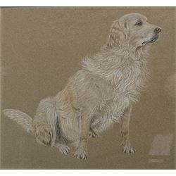 Geoffrey H Douthwaite (British 20th century): 'A Moorland Village', watercolour signed, titled verso together with English School (20th century): Golden Retriever, chalk on paper unsigned max 25cm x 34cm