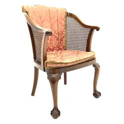 Early to mid 20th century walnut armchair, fan upholstered back upholstered in floral patterned fabric, cane work sides and seat with upholstered seat cushion, shell carved cabriole front supports with carved ball and claw feet