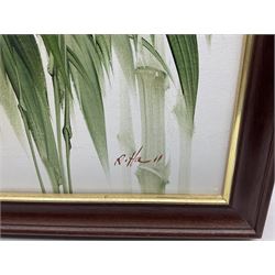 R Hall (British 20th century): Exotic Bird Perched on Bamboo Trees, oil on canvas signed together with S Atkinson (British 20th century): Roses, watercolour signed max 40cm x 50cm (2)