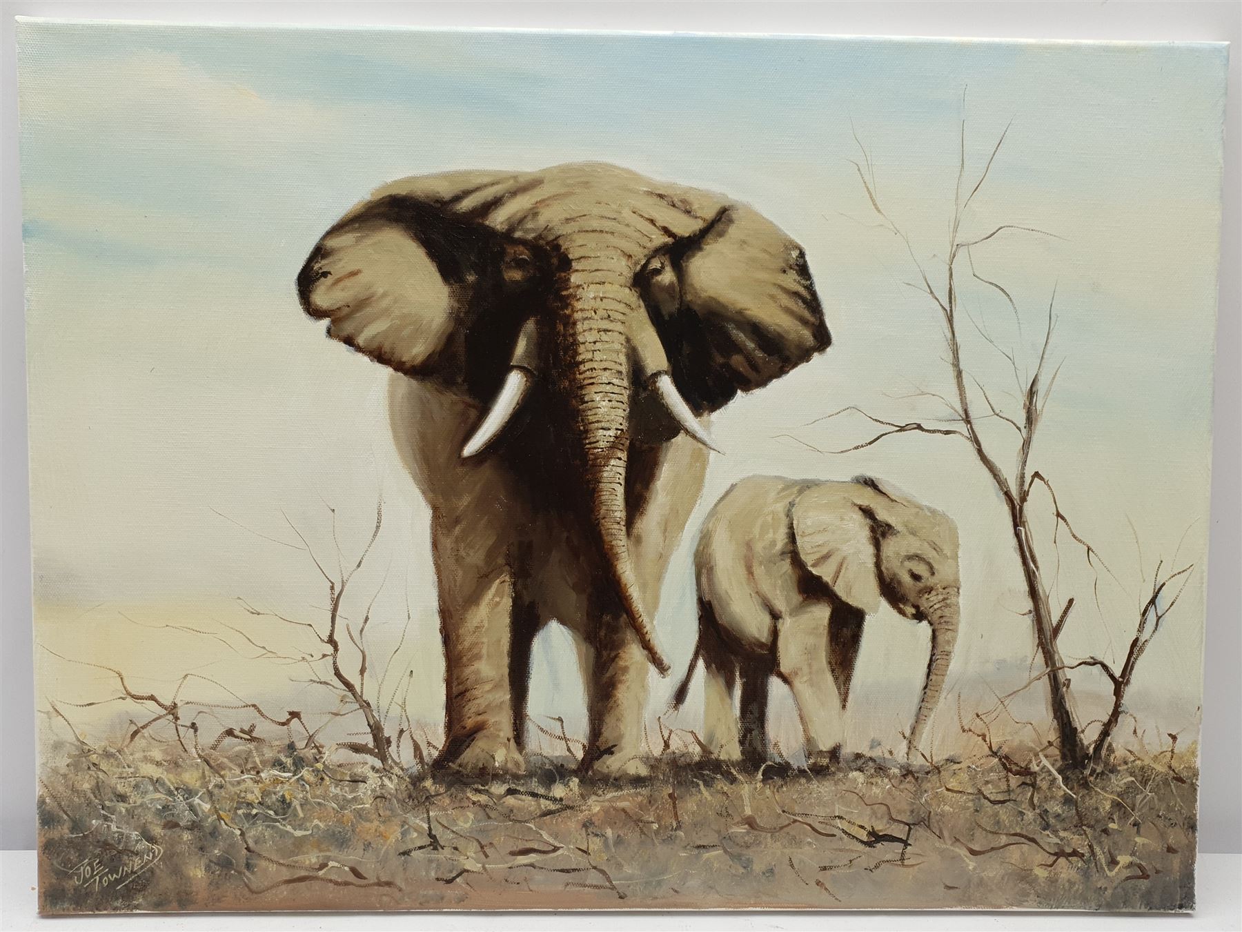 Joe Townend GRA (British 1946-): Elephants on the Savannah, oil on canvas signed 45cm x 60cm (unframed)