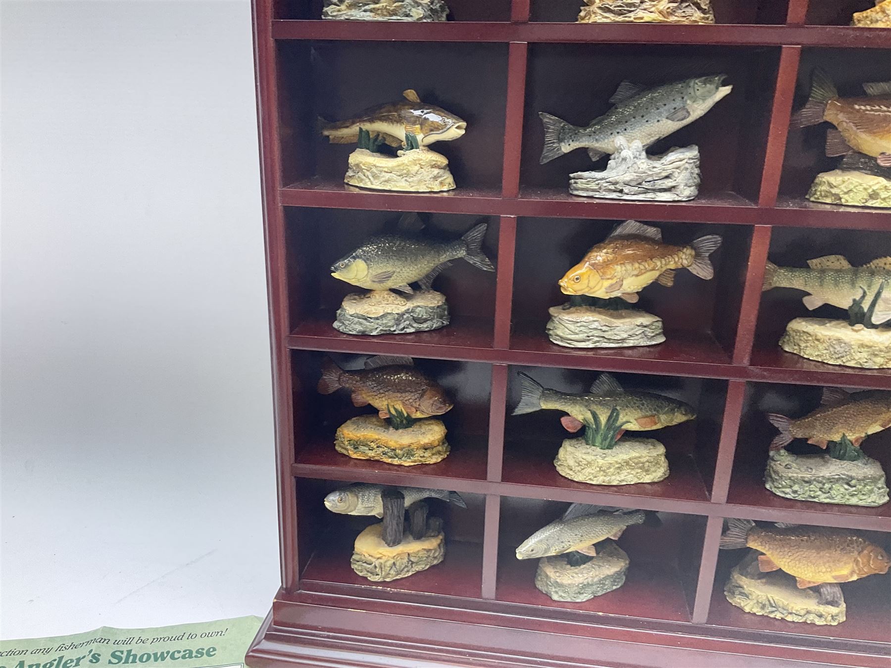 Twenty Four Danbury Mint models of fish, The Angler's Showcase, each with accompanying information card, in wooden wall mounted display shelf, with title plaque, display shelf H61cm L54cm