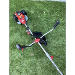 Triumph Bighorn brush cutter - unused - THIS LOT IS TO BE COLLECTED BY APPOINTMENT FROM DUGGLEBY STORAGE, GREAT HILL, EASTFIELD, SCARBOROUGH, YO11 3TX